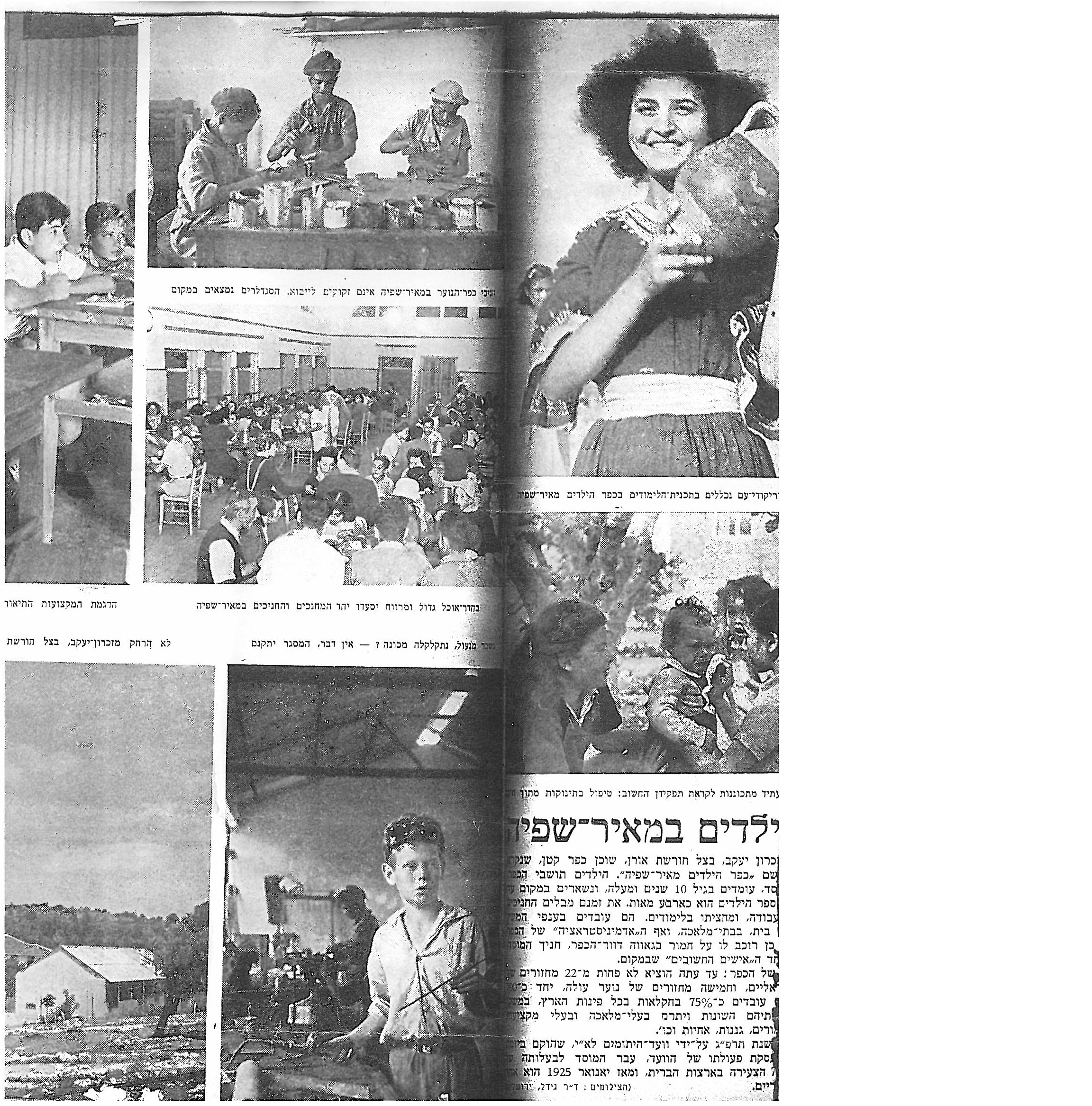 עיתון