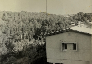 1965-בית בחלק הדרומי של הכפר